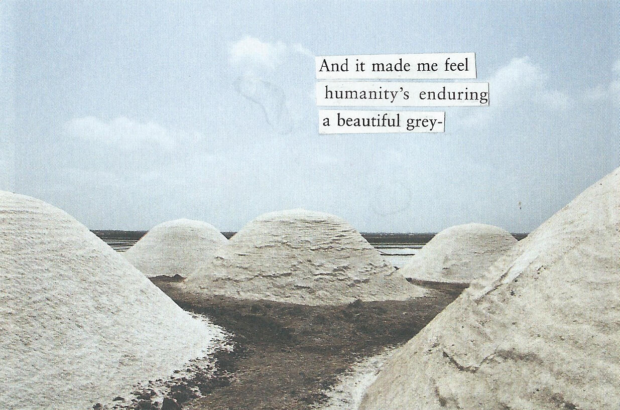 A Beautiful Grey