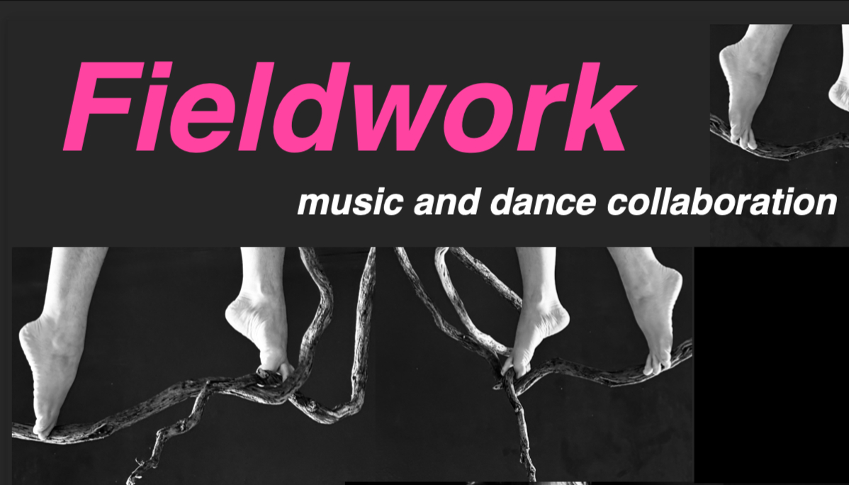 Fieldwork (Solo)